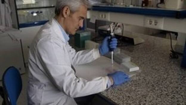 La melatonina mejora la fertilidad masculina, según la tesis de un investigador de la UEx