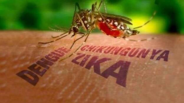 Detectado en Canarias un nuevo caso de Zika en una mujer que viajó a América Latina