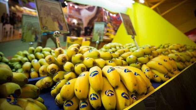 Canarias se suma a la promoción del plátano para atraer al turista peninsular