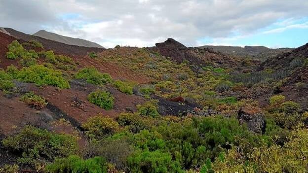 El volcán del Gallego recupera su perfil