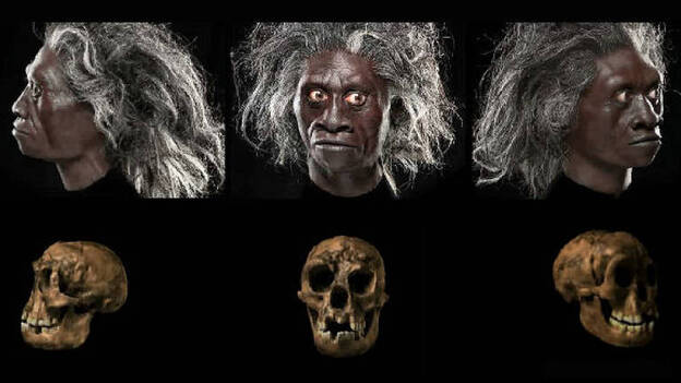 Una nueva investigación niega que el 'Hobbit' tuviera síndrome de Down