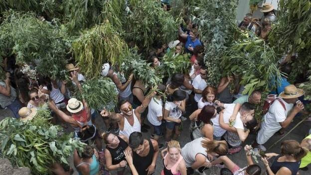 El Valle de Agaete celebra su 'Rama'