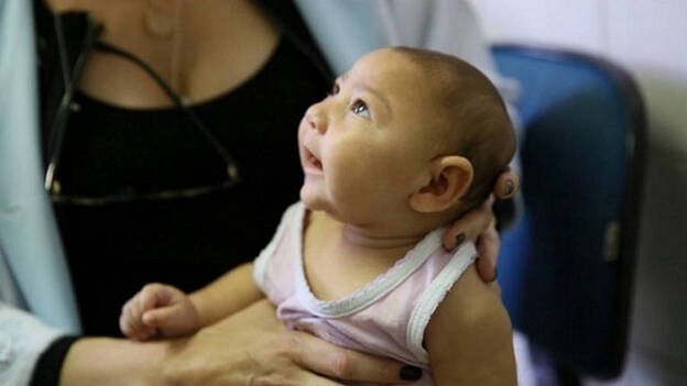 La vacuna contra el zika, cada vez más cerca