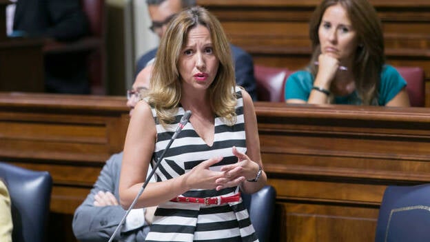 El Gobierno de Canarias asegura que no debe "absolutamente nada" por la moratoria turística