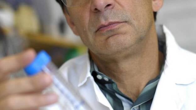 Investigadores identifican una vía de quema de calorías en las células adiposas