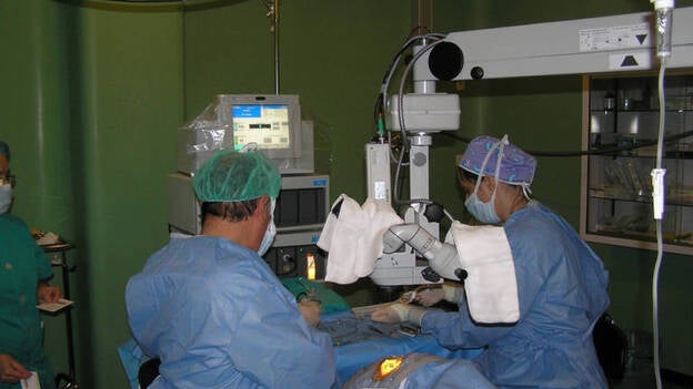 ONT pone en marcha plan nacional de córneas para sumar 5.000 donantes en 2020