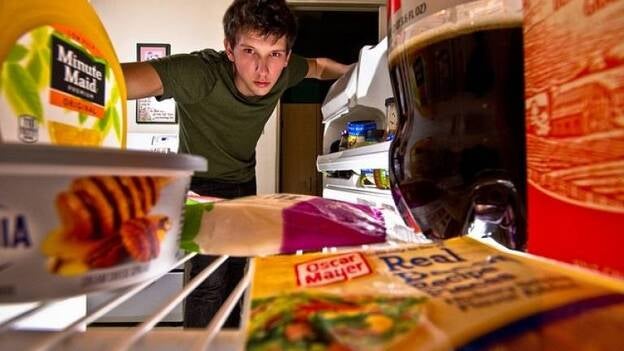 Las neuronas que controlan el hambre están reguladas por una proteína que se activa durante el ayuno