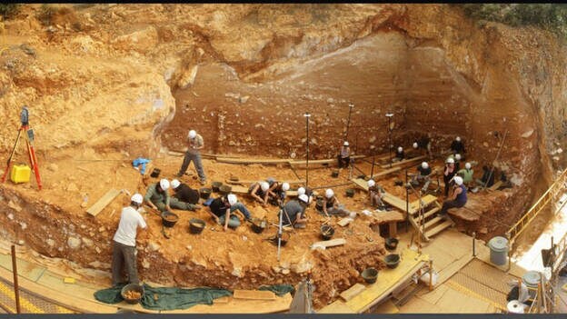 Cumple 22 años el descubrimiento en Atapuerca del homínido mas antiguo de Europa