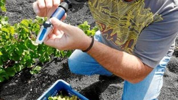 "A veces se olvida que el viticultor es el alma del vino"