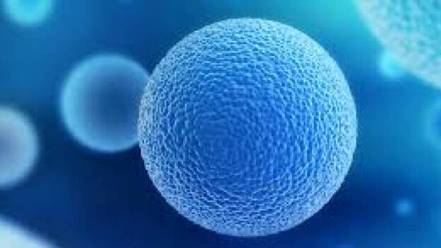 Ocho de cada diez mujeres a favor de congelar óvulos para retrasar maternidad