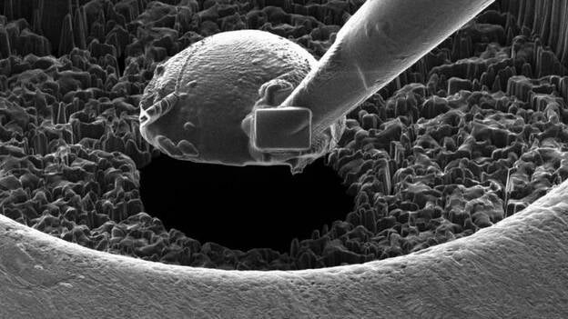 Logran en laboratorio una presión triple a la del núcleo terrestre
