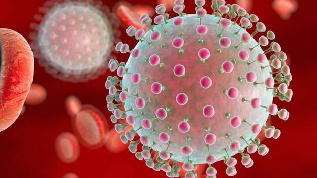 Declarada por zika la emergencia de salud pública en Puerto Rico, con más de 10.000 casos