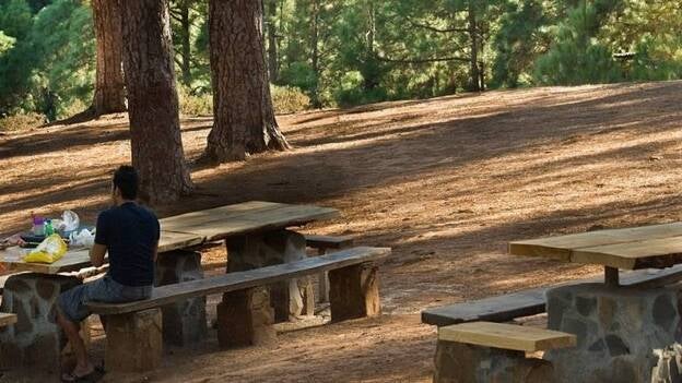 El Cabildo de Tenerife da por finalizada la prohibición de hacer fuego en el monte