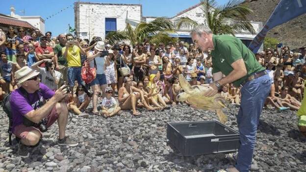 Dos tortugas vuelven al mar en el Festival Bioagaete