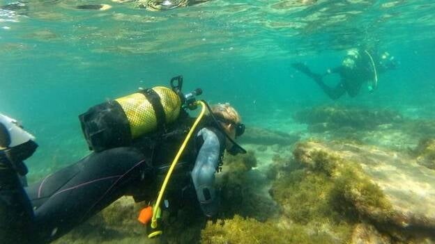 Fotosub refuerza la Isla como destino idóneo para el turismo buceo