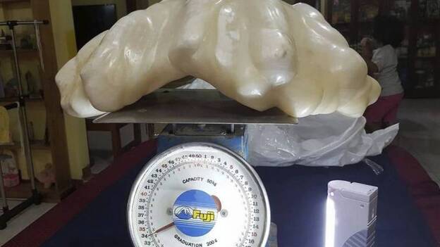 Localizan en Filipinas una perla de 34 kilos, posiblemente la mayor del mundo