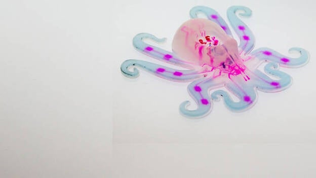 Crean Octobot, el primer robot blando controlado por fluidos
