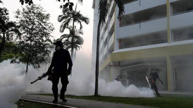 Ascienden a 247 los casos de zika en España, diez más que la semana pasada