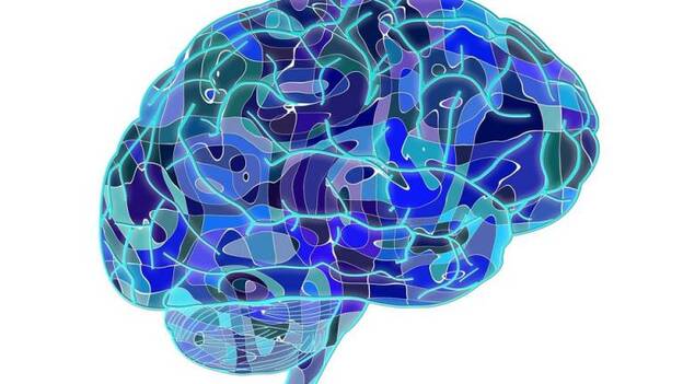 El cerebro funciona como una sinfónica para dar orden a los recuerdos