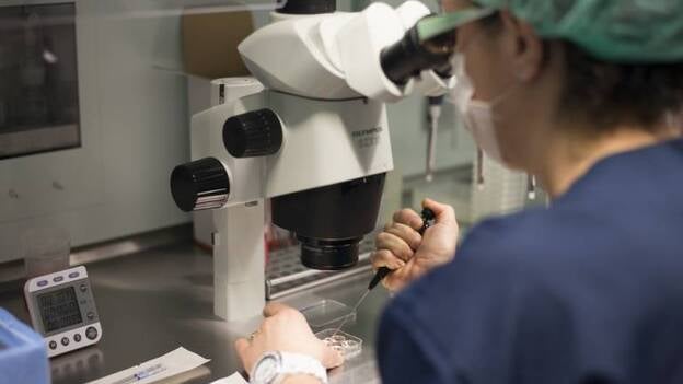 Identifican mecanismos de resistencia al inhibidor que actúa contra la mutación asociada al cáncer de piel