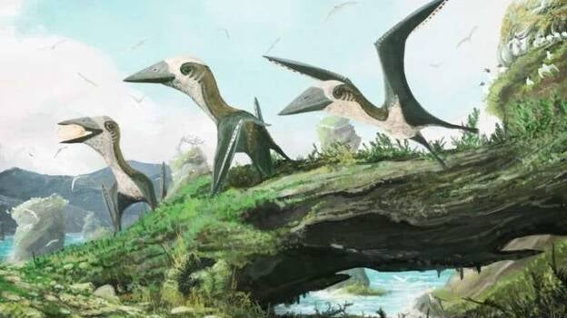 Descubierto un insólito reptil volador de hace 77 millones de años