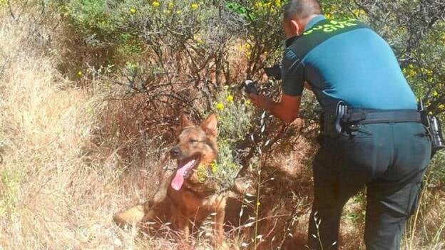 Tóxicos ilegales que siguen en uso