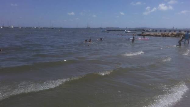 Una bióloga alerta de que la contaminación del Mar Menor está llegando al Mediterráneo