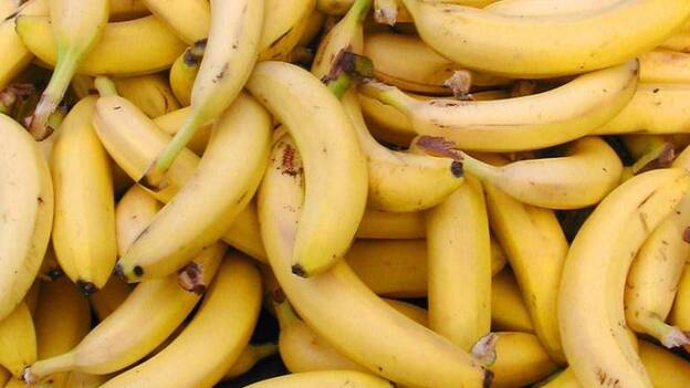 Una investigación analizará los beneficios del plátano contra cáncer de colon