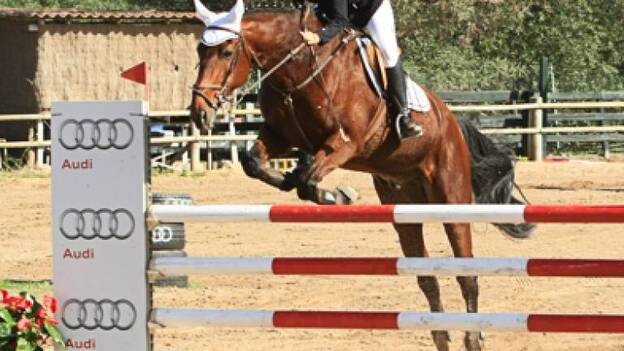 Los mejores jinetes se dan cita en Bandama