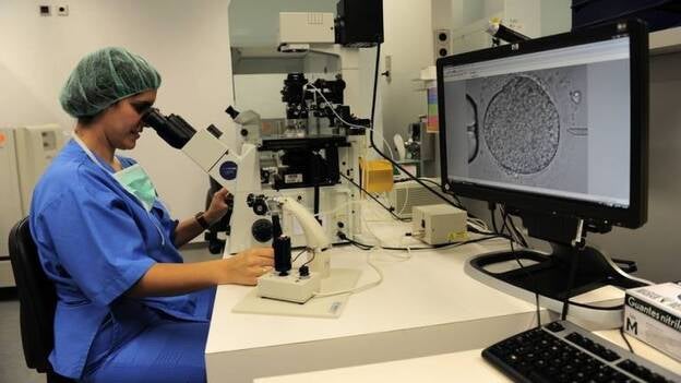 El reloj biológico y la fertilidad, a debate