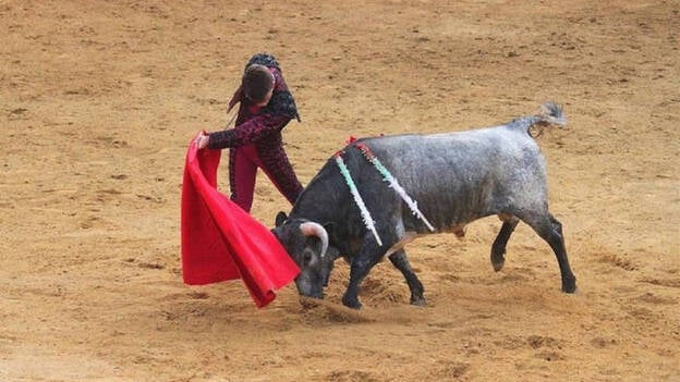 ¿Están prohibidos los toros en Canarias? Si lo estaban, puede que ya no
