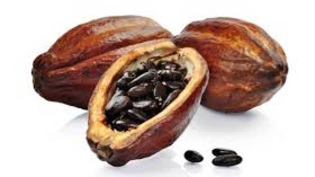 Los antioxidantes del cacao pueden ayudar a retrasar la diabetes tipo 2