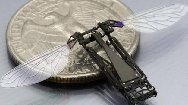 Crean la primera abeja robótica que poliniza como una real