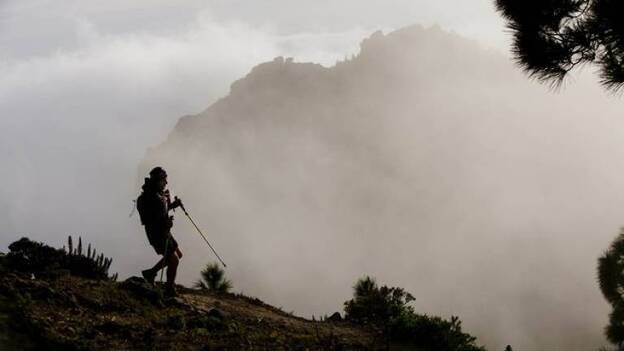 Un calendario con novedades