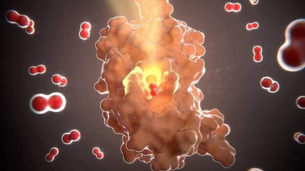Descubren un nuevo mecanismo contra las bacterias resistentes a los antibióticos