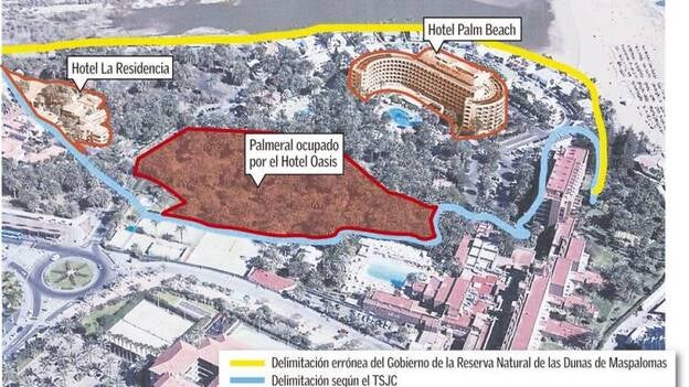 20 años con un oasis sin su palmeral