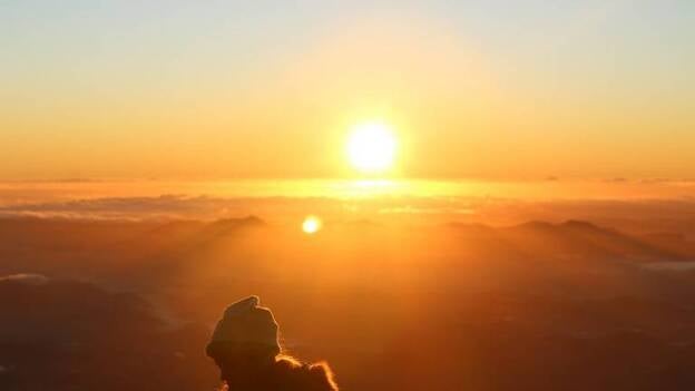 La luz solar activa las células T de la piel para combatir infecciones