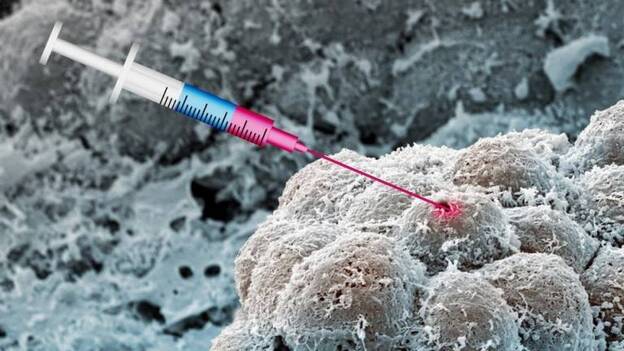 Combinan un fármaco para la diabetes y un antihipertensivo para combatir el cáncer