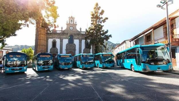 El Cabildo de Gran Canaria establece unos servicios mínimos del 50% durante la huelga de Global
