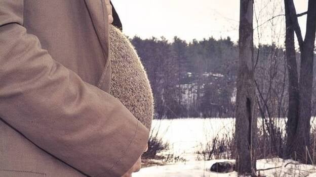 Los lactógenos de la placenta provocan el instinto de protección maternal en el embarazo