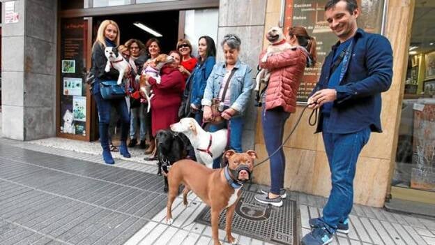Los dueños de perros, con miedo