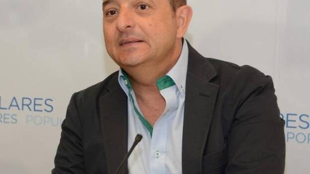 Cardona disputará a Asier Antona el liderazgo del PP