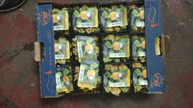 Incautan varias cajas de frutas exóticas ilegales en Mercalaspalmas