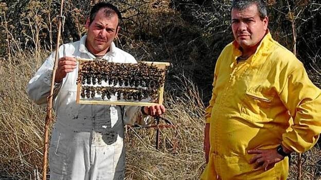 Una miel ecológica con medallas de oro