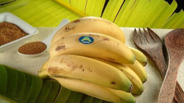 La cuota de mercado de Plátano de Canarias alcanza el 73,9% en 2016