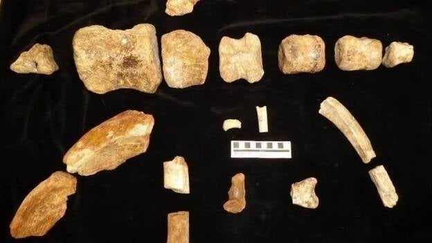 Un agricultor descubre un nuevo yacimiento con huesos de dinosaurios en Hortigüela