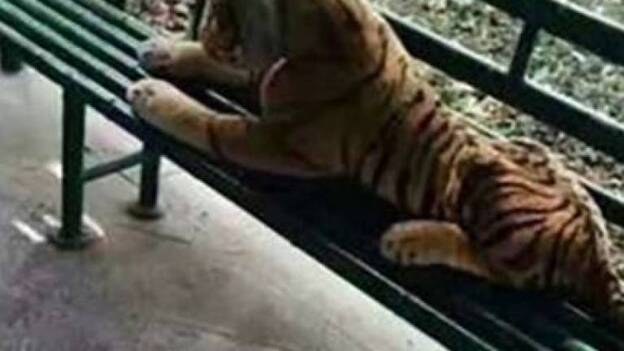 Un tigre de peluche muy realista causa el pánico en un parque del este chino