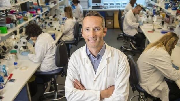 El gen de un gusano podría ser clave para desarrollar un tratamiento para la obesidad