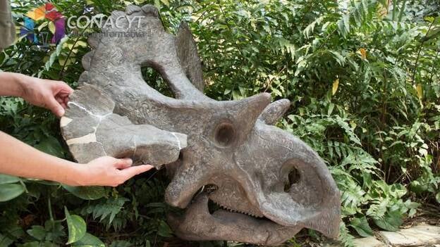 Científicos mexicanos hallan una nueva especie de dinosaurio en el norte del país
