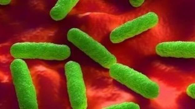 La UE avisa de la "alarmante" amenaza para la salud de las bacterias resistentes a antibióticos